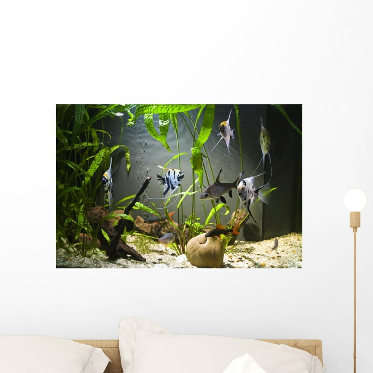 Freshwater Aquarium Wall Mural by Wallmonkeys Peel and Stick Graphic (24 in  W x 16 in H) WM271596 