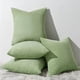 thumbnail image 1 of wonima02 Topfinel Sage Green Decorative Throw Pillow Covers Set of 4,Soft Velvet Modern Double-Sided Designs Match Cushion Cases for Home Decor, Pillow Inserts Not Included (16x16 inch), 1 of 1