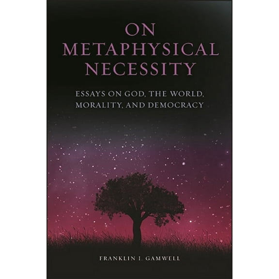 On Metaphysical Necessity: Essays on God, the World, Morality, and Democracy, (Paperback)