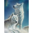 thumbnail image 1 of Evershine Full Square Diamond Painting Wolf Cross Stitch Kit Embroidery Animals Mosaic Sale Rhinestone Pictures Home DecorationFull Round 30X40cm Gao Jinjia LED, 1 of 2