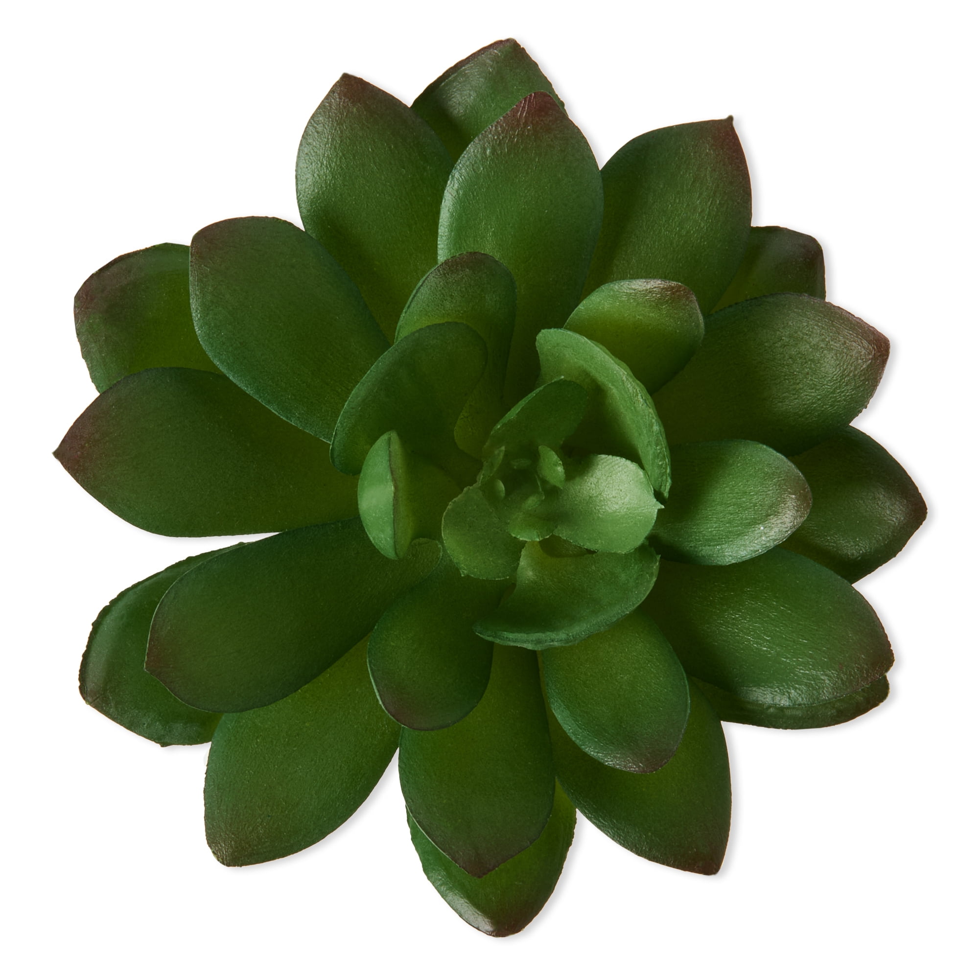 Mainstays Artificial Succulent Echeveria Pick 3 inch x 4.5 inch Green