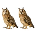 thumbnail image 2 of Joernso 1 Set Owl Pendant Effective Bird Repellent Double-sided Printed Owl Ornament for Garden Patio Windows, 2 of 7