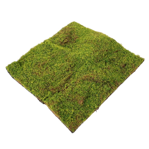 HEMOTON Outdoor Carpet for Patio Artificial Simulated Moss Lawn