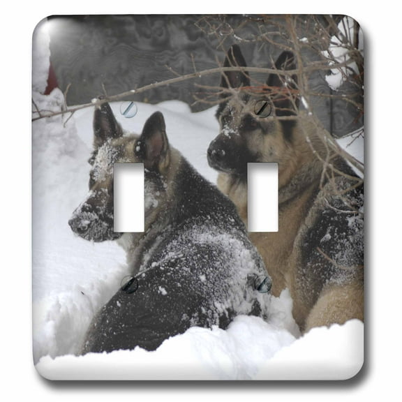 3dRose, German Shepherds Best Friends, double toggle switch