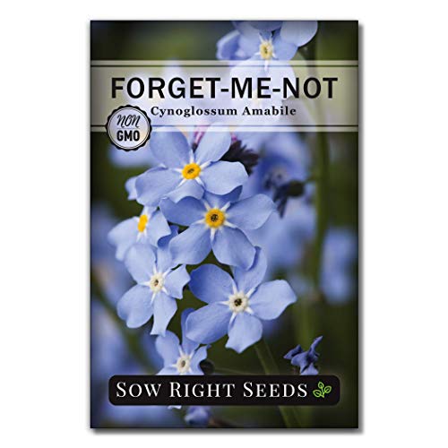 Sow Right Seeds Seed Packets to Plant (Cynoglossum