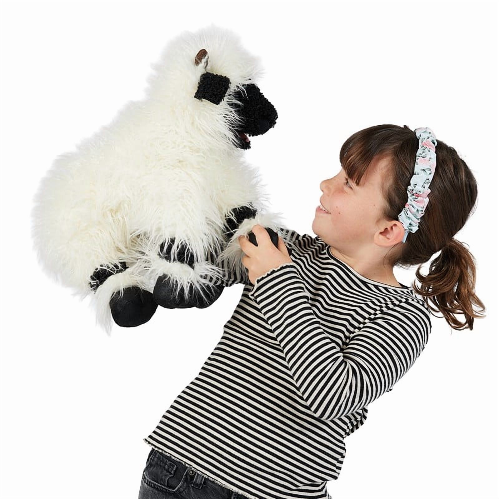 Valais Blacknose Sheep, (Hardcover)