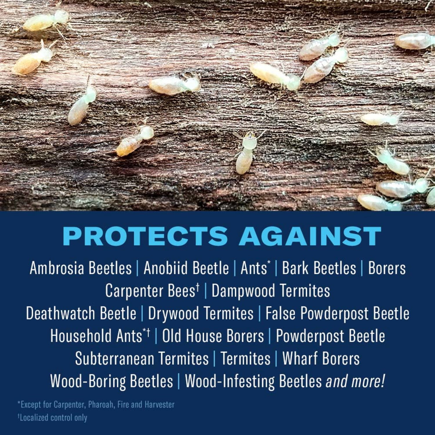 BioAdvanced Termite and Carpenter Bee Killer Plus, Foam, 18 oz (2-Pack)