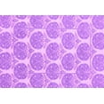 thumbnail image 1 of Ahgly Company Indoor Rectangle Abstract Purple Modern Area Rugs, 2' x 3', 1 of 4