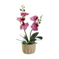 thumbnail image 1 of (Light Purple) Two Forks and Five Flowers Phalaenopsis Bonsai, 1 of 4