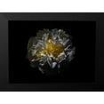 thumbnail image 2 of Carson, Brian 24x18 Black Modern Framed Museum Art Print Titled - Backyard Flowers 25, 2 of 5