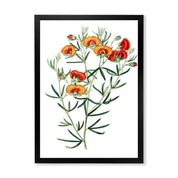 Designart 'Ancient American Flora VIII' Traditional Framed Art Print