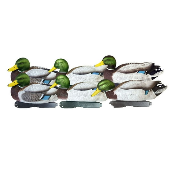 Banded ProGrade XD Series January Mallards All Drake 6 Pack