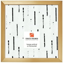 Craig Frames Modern Aesthetics 125, 12x12 inch Picture Frame, Gold