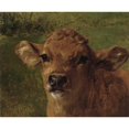 thumbnail image 2 of Rosa Bonheur 18x15 Gold Ornate Wood Frame and Double Matted Museum Art Print Titled - Head of a Calf (1878), 2 of 4