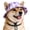Purple, variant on Dog Bucket Hat with Ear Holes Adjustment Summer Beach Visor Sunscreen Cap Suitable for Dog and Cat.