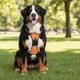 thumbnail image 6 of Nallwabiu No Pull Dog Harness Adjustable Vest with a Training Handle, Pocket, Easy to Put on & Take Off, With dog leash, 6 of 7