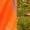 Orange with Navy, variant on Big & Tall - Dri-Wizeâ„¢ - Smooth Finish - Shorts - vertical striped