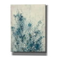 thumbnail image 1 of Epic Graffiti 'Blue Spring I' by Tim O'Toole Canvas Wall Art, 26"x34", 1 of 3