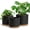 Black With Brown Base, variant on Large Plant Pots Set of 3 – 8", 9", 10" Indoor Flower Pots with Drainage Holes and Saucers, Big Planters for Monstera, Fiddle Leaf Fig, Snake Plant – 5 Colors