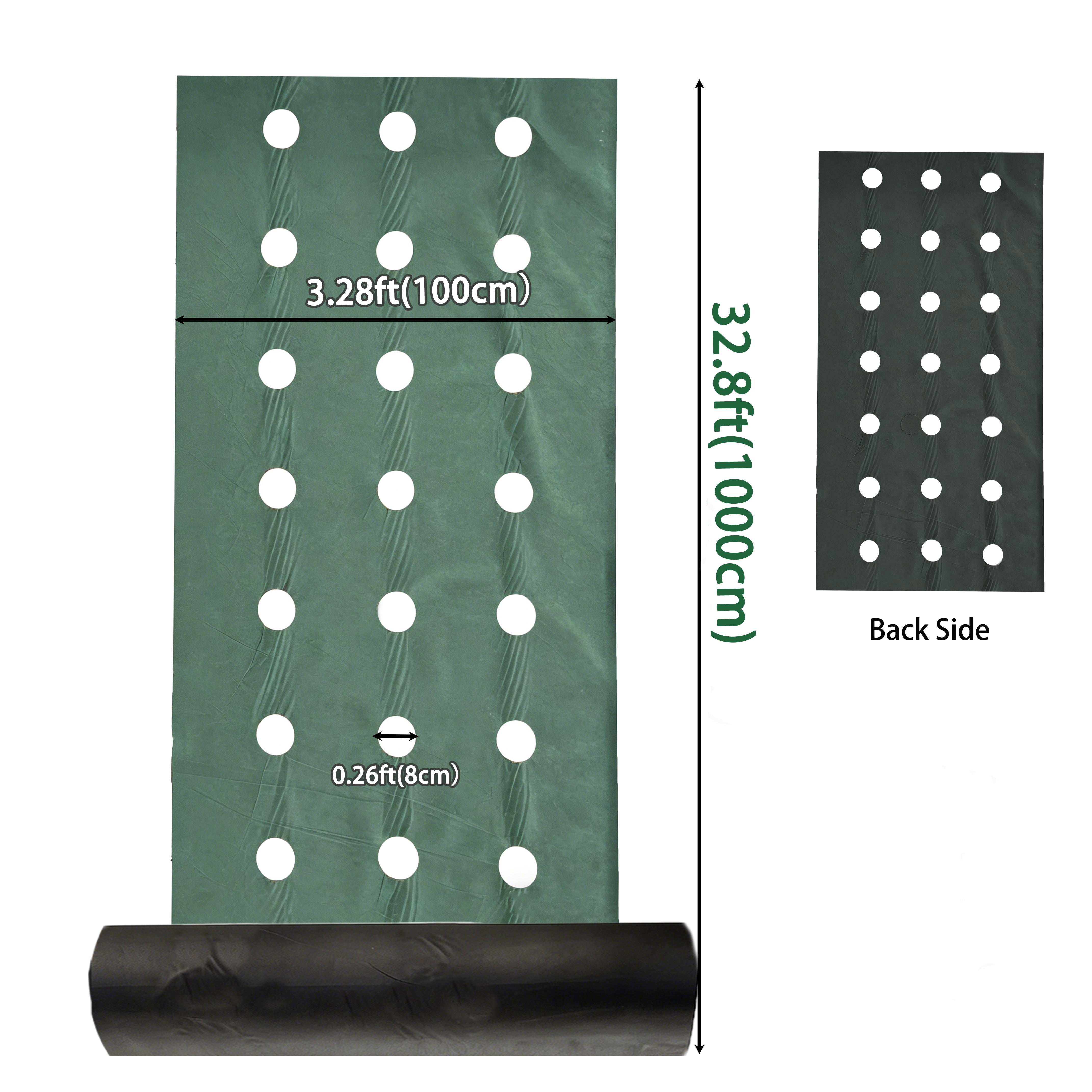 Green & Black Double-Layer PP Garden Weed Barrier Fabric, Pre-Punched 3.15" Holes, Breathable, Water Permeable & Non-Waterlogging, Weed Suppression, Moisture Retention, Multiple Sizes for Lawns