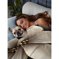 thumbnail image 3 of Gold Black Flower California King Size Flat Sheet, Wrinkleproof & Fadeproof Cooling Flat Bed Sheet Only, Blossoming Botanical Prints Leaf Breathable Soft Bedding Top Sheets 108 x 98 Inches, 3 of 8