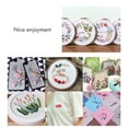 thumbnail image 4 of Labymos R-ainbow Embroidery F-loss 24 Colors Embroidery Kit Set 8m 6 Individual Strands Stitch for, 4 of 8