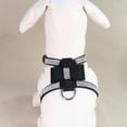thumbnail image 3 of 1Pc Bling Strass Chien Arc Collier Harnais de Chiot Collier Collier pour Chien de Compagnie, 3 of 6