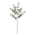 thumbnail image 1 of Bouclair Tige d'Eucalyptus Artificielle Verte Moyenne, 1 of 2