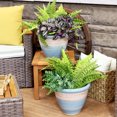 thumbnail image 6 of Sunnydaze Purlieu 12" x 12" x 10" Round Shoreline Ceramic Outdoor Planter 2-Count, 6 of 10