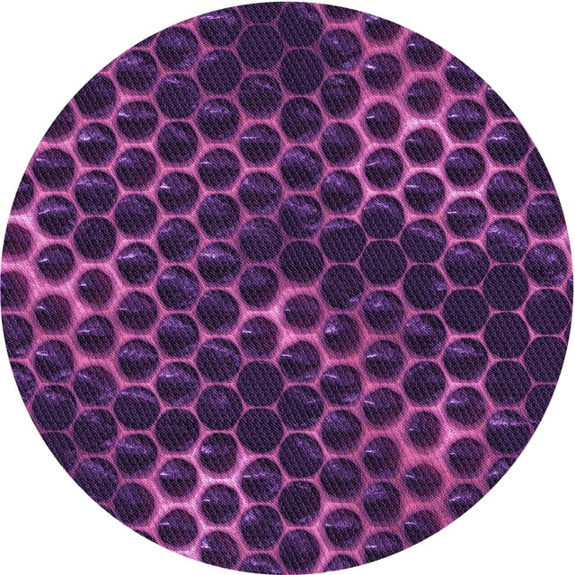 Ahgly Tapis d'Intérieur Lavable en Machine Carré Transitionnel Orchidée Foncée Violet, 3 Pieds Carré