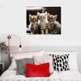 thumbnail image 4 of Nawypu  Three Elegant American Shorthair Cats Poster Canvas Prints Wall Art For Home Office Decorations With Framed, 4 of 4