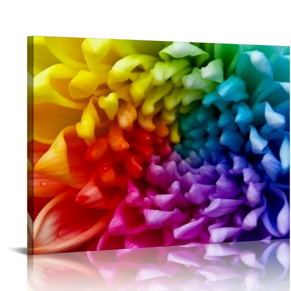 Fenyluxe Rainbow Color Flower Canvas Wall Art Ready To Hang Decor 16x12in