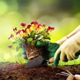 thumbnail image 3 of Juego de herramientas de jardín mini suculentas, incluye pala de mano, pala de trasplante, rastrillo de mano de cultivador, cuidado de plantas de jardín de hadas en miniatura para interiores (3), 3 of 5