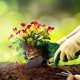 thumbnail image 3 of Juego de herramientas de jardín mini suculentas, incluye pala de mano, pala de trasplante, rastrillo de mano de cultivador, cuidado de plantas de jardín de hadas en miniatura para interiores (3), 3 of 5