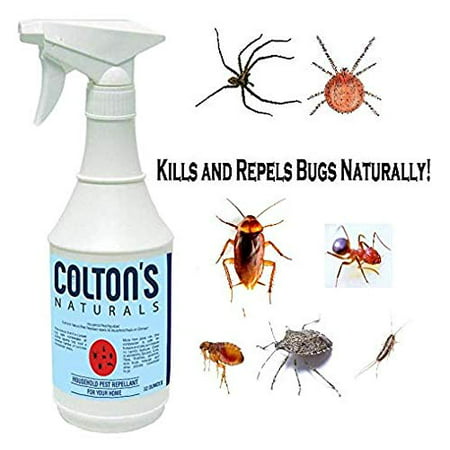 Home Pest Repellent Spray – Natural Pest Control – Useful Against House Roach, Spiders, Ants, Fleas – Fast Acting Pest Control Spray (32