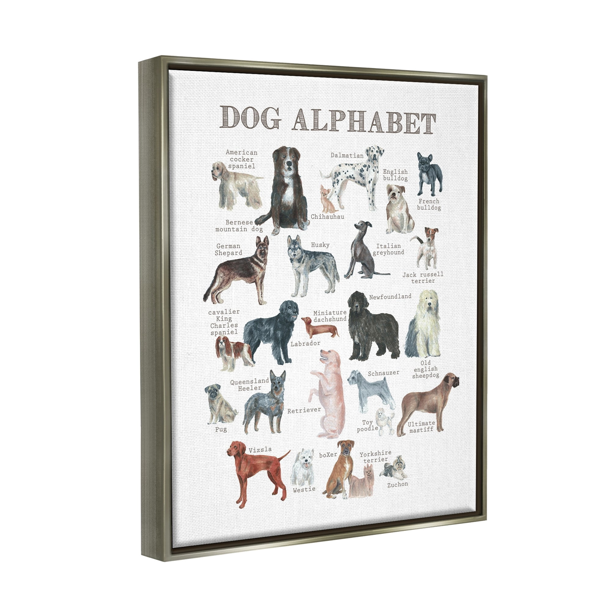Stupell Industries Dog Alphabet Multiple Breeds Educational Animals Chart Graphic Art Luster Gray Floating Framed Canvas Print Wall Art, Design by Dishique