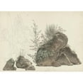 thumbnail image 2 of Josephus Augustus Knip 24x19 Black Ornate Framed Double Matted Museum Art Print Titled: Overgrown Rocks (C. 1809 - C. 1812), 2 of 5
