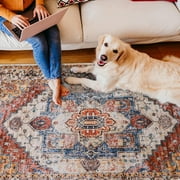 TWINNIS Boho Area Rug Vintage Tribal Carpet Anti-Slip Rug Washable Persian Carpet for Living Room Bedroom,Orange,4'x6'