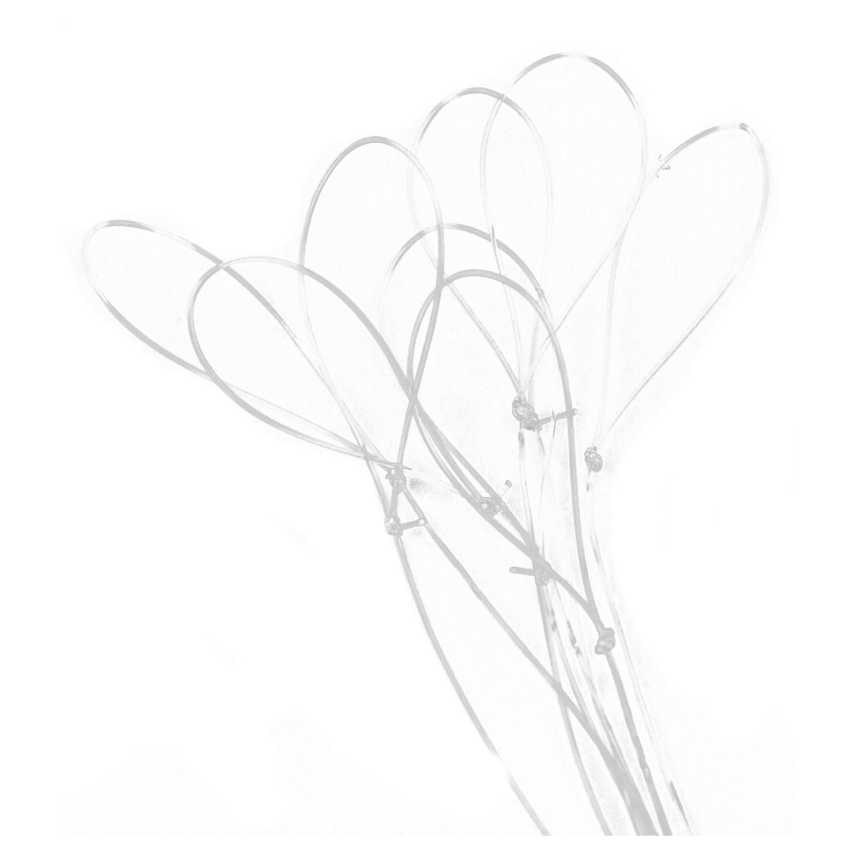 Ozark Trails 8 High-Carbon Steel Aberdeen Hooks 6, 8 Hooks per Package