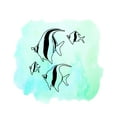thumbnail image 1 of AQUATIC ANIMALS - Vinyl Home Living Room Sea Animals Wall Decoration Angel Fish Design Easy To Apply Kids Bedroom Wall Decal Sticker 40" x 36", 1 of 5