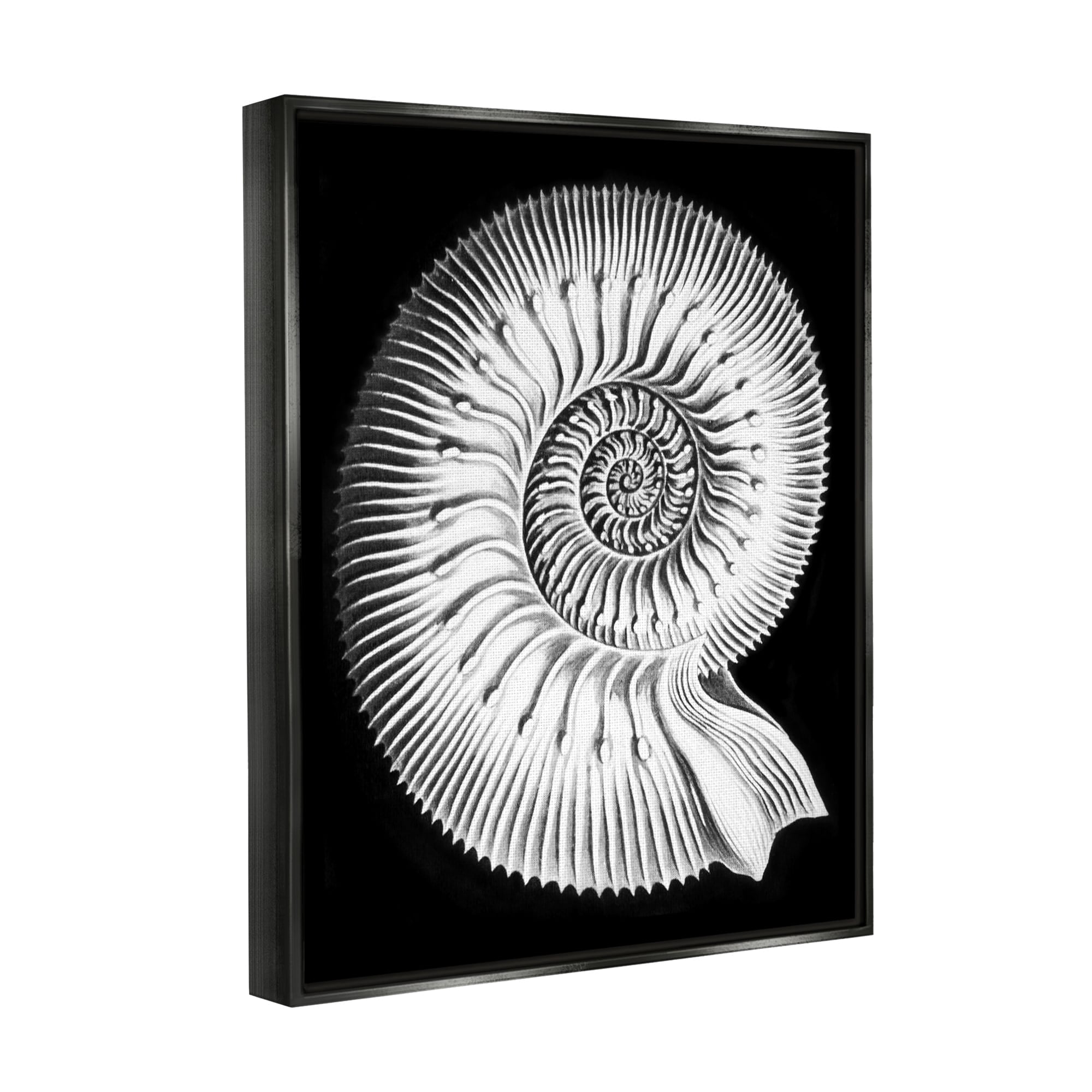 Stupell Industries Spiral Sea Life Beach Shell Modern Fractal Graphic Art Jet Black Floating Framed Canvas Print Wall Art, Design by Graffitee Studios