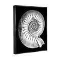 thumbnail image 4 of Stupell Industries Spiral Sea Life Beach Shell Modern Fractal Graphic Art Luster Gray Floating Framed Canvas Print Wall Art, Design by Graffitee Studios, 4 of 5