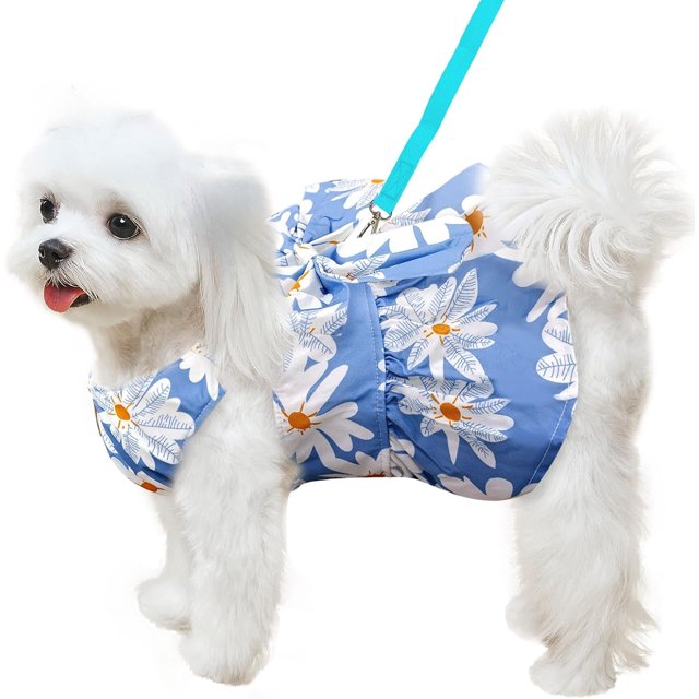 Changmaius Robe Mignonne pour Chien avec Ensemble en Maille Respirante et Laisse – Tenue d'Été Florale Rose pour Petite Fille Chiots, Boutons-Pression Réglables pour Chihuahua, Yorkie, Chat Princesse Costume de Fête d'Anniversaire