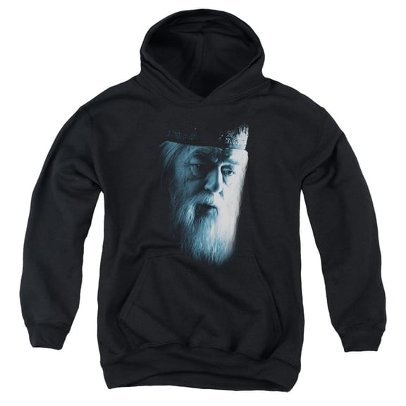 Harry Potter - Dumbledore Face - Youth Hooded Sweatshirt - Small