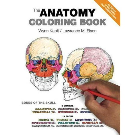Download The Anatomy Coloring Book - Walmart.com