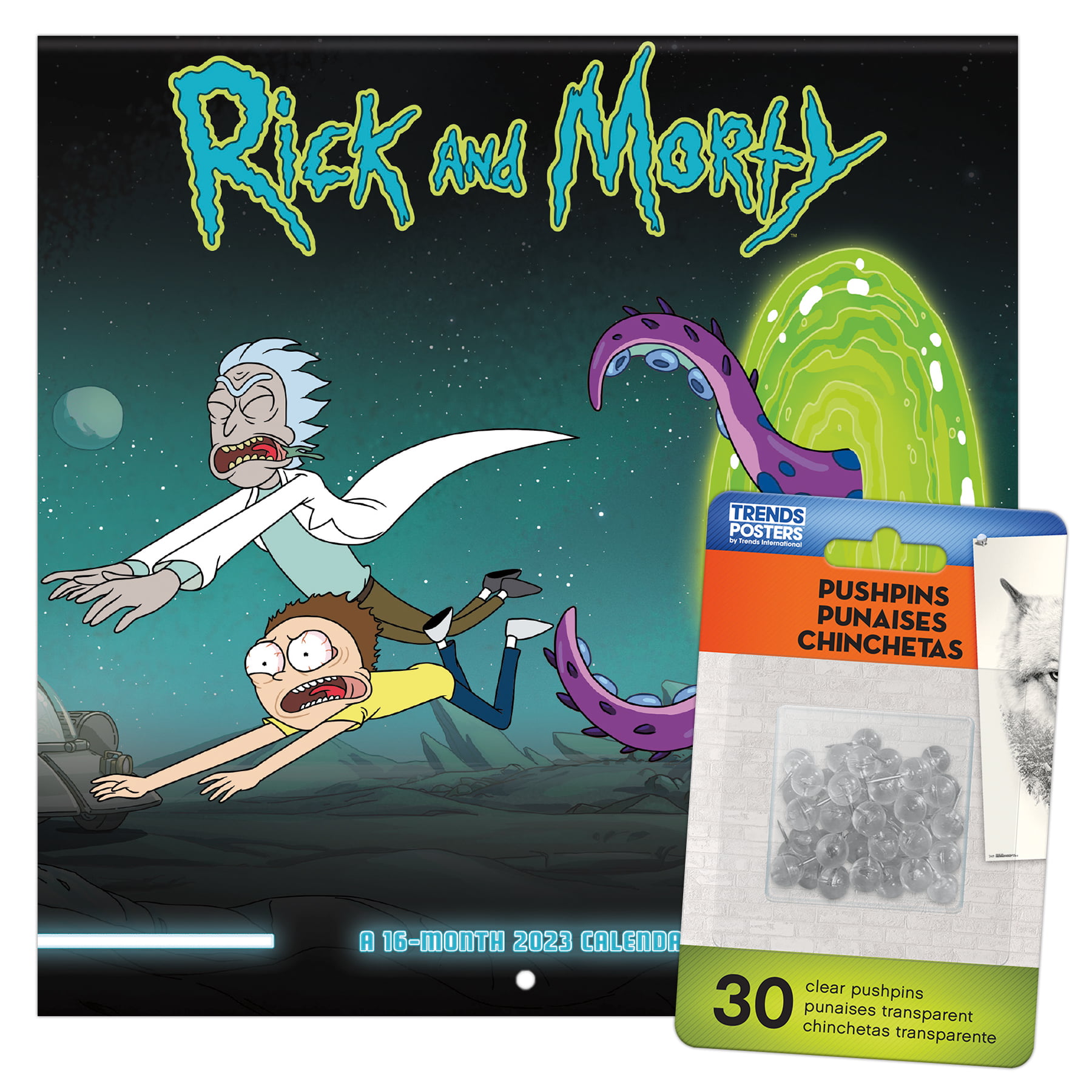 Trends International 2023 Cartoon Network Rick and Morty Mini Wall