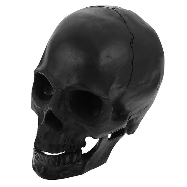 1 modelo de esqueleto para decoraciones de Halloween.