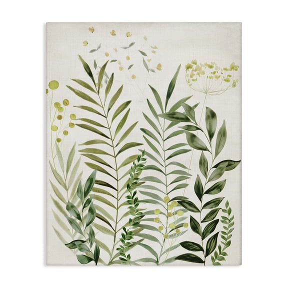 Stupell Industries Delicate Herbs & Leaves Plants & Flowers Painting Wrapped Canvas Art Print Wall Art, 16 x 20