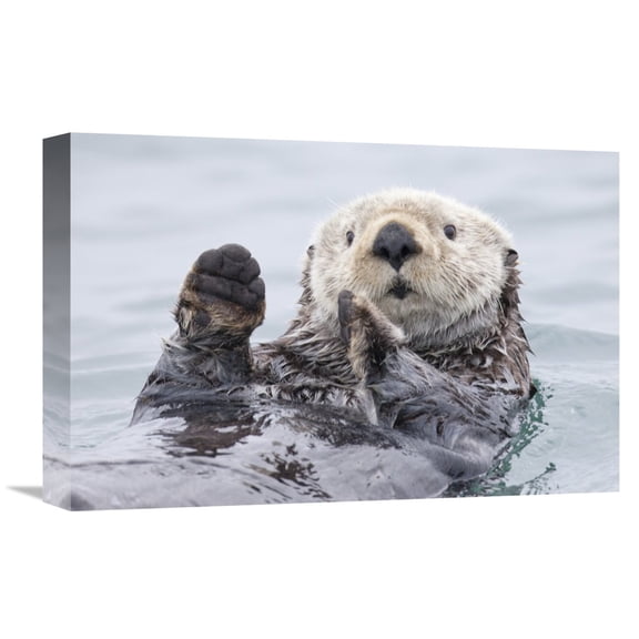 Global Gallery Roman Golubenko,'Yesterday I Caught A Fish Thiiis Big! Otter. Alaska' Stretched Canvas Artwork
