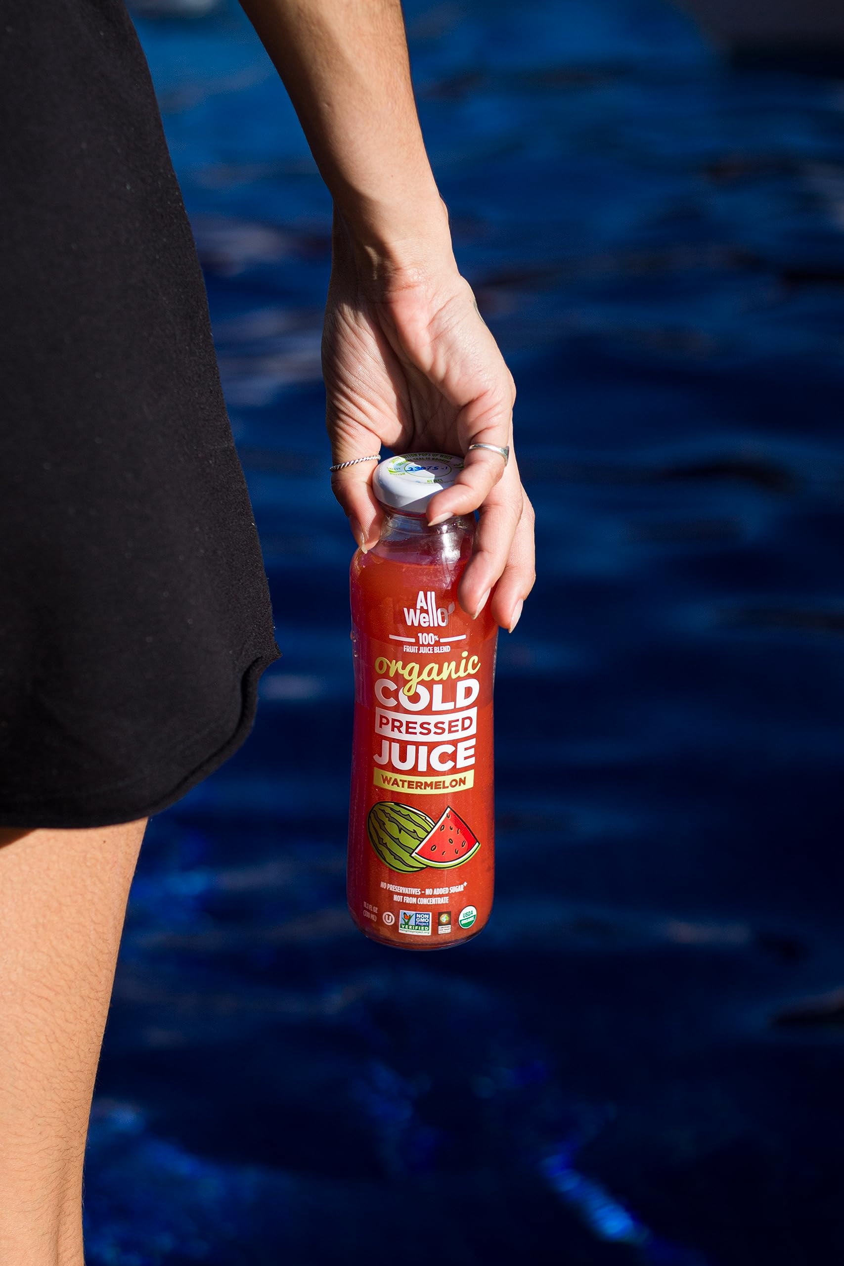 (Pack of 12) Allwello Juice Concentrate Watermelon 11.1 Fo